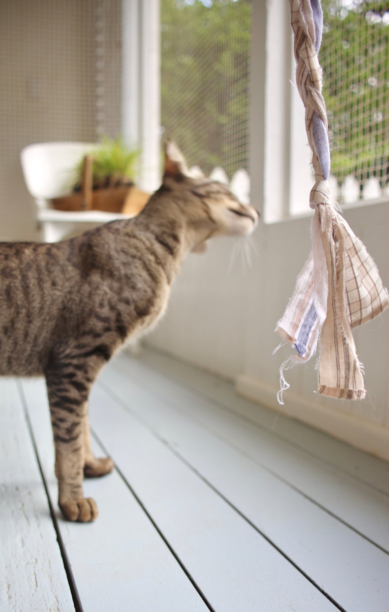 The Langley Handmade Shirty Wand