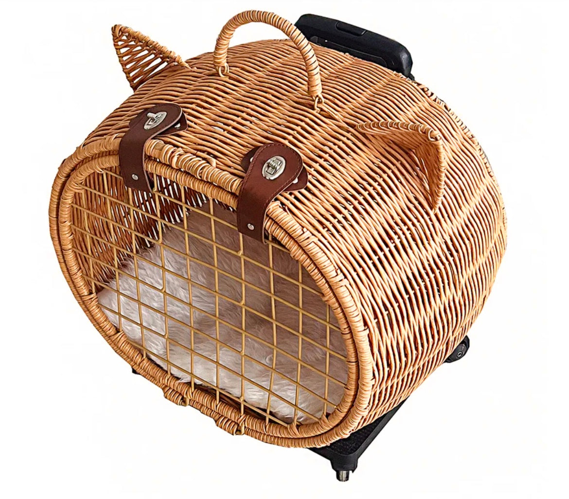 Aliza Rattan Carry