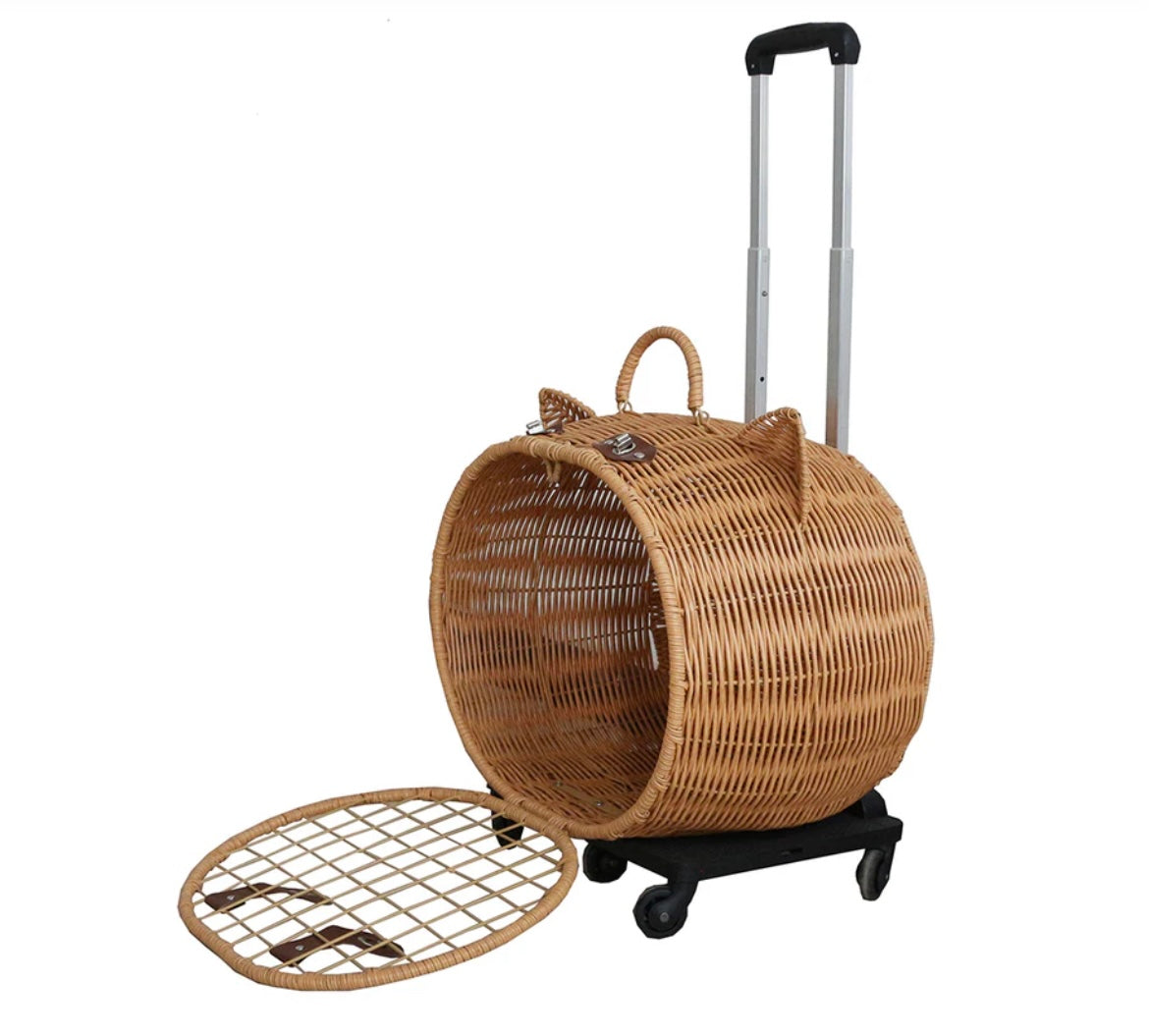 Aliza Rattan Carry