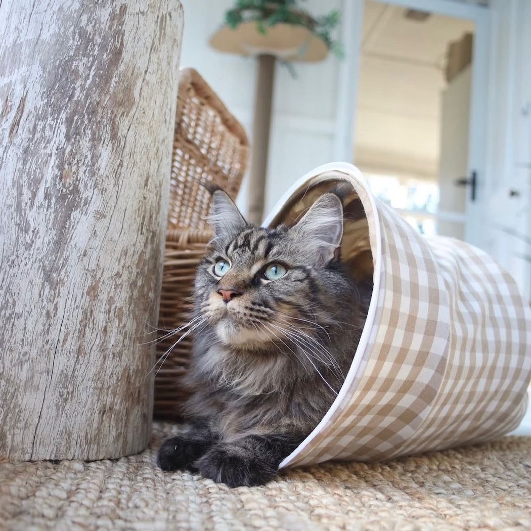 Audrey Play and Nest