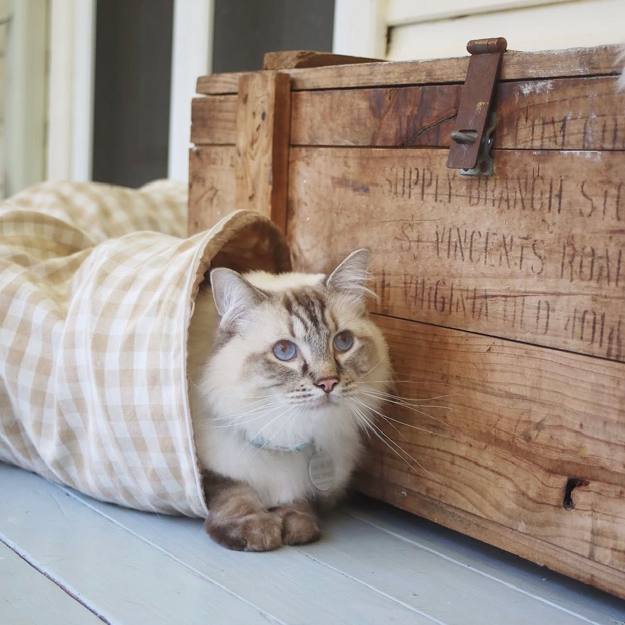 Audrey Play and Nest