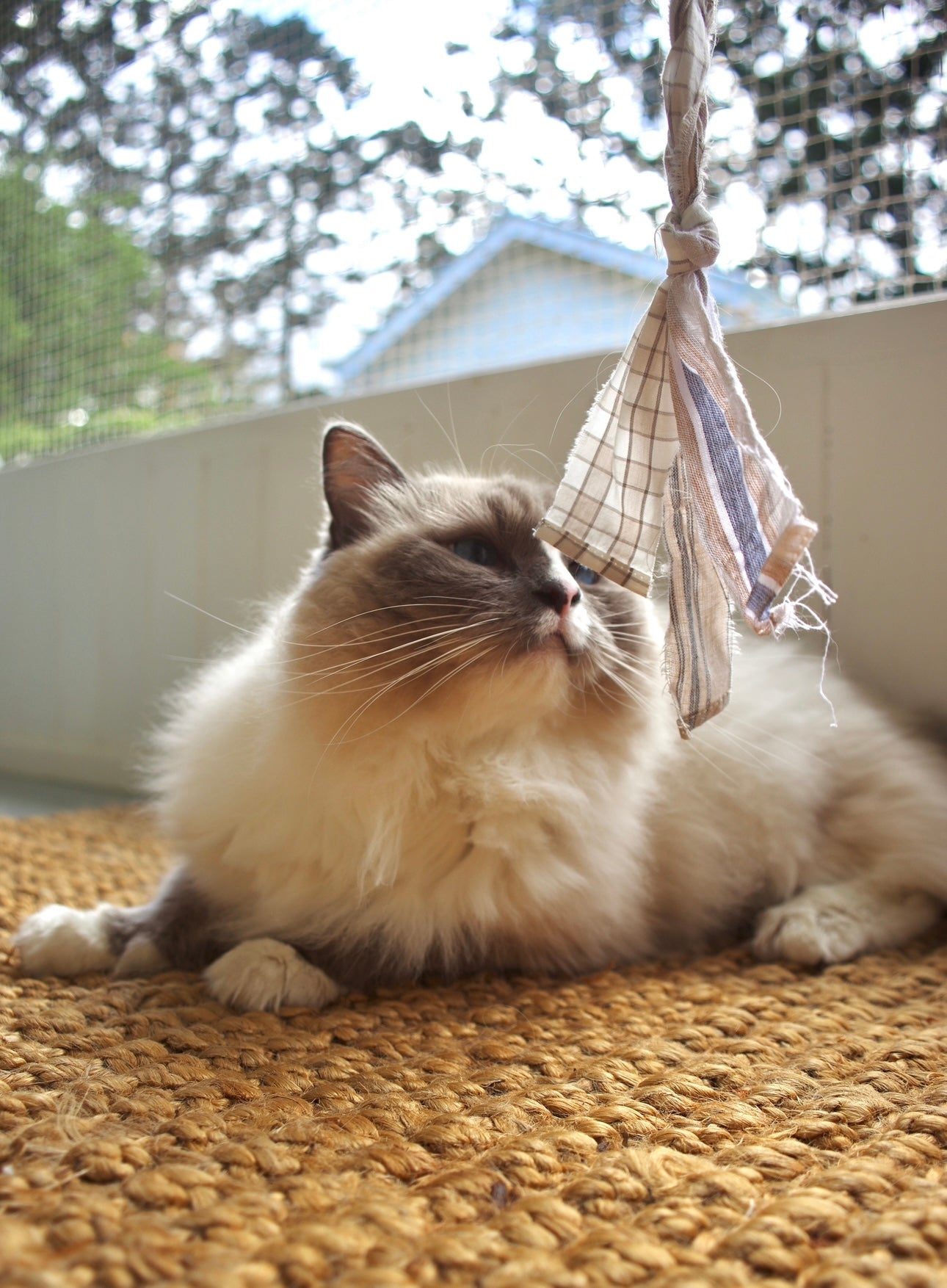 The Langley Handmade Shirty Wand