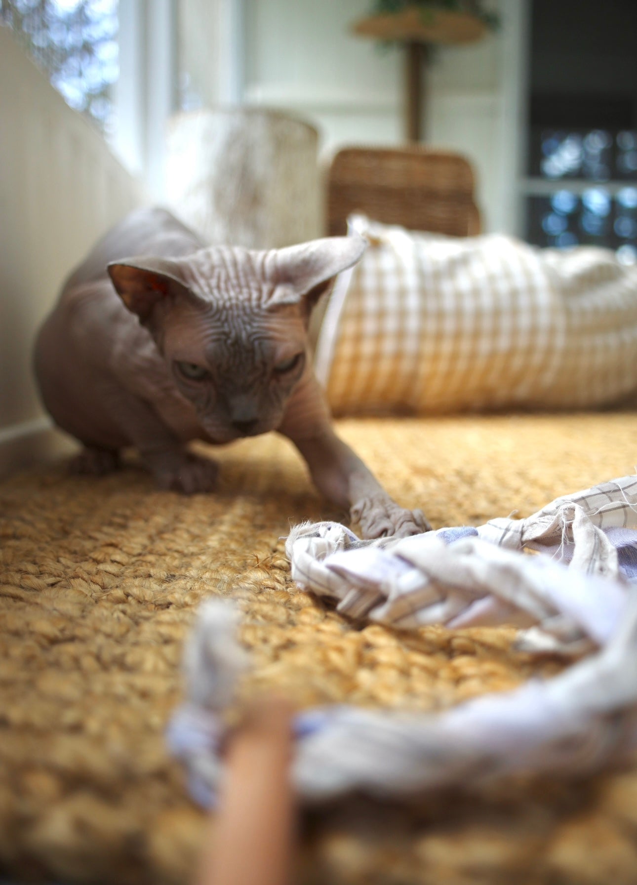 The Langley Handmade Shirty Wand