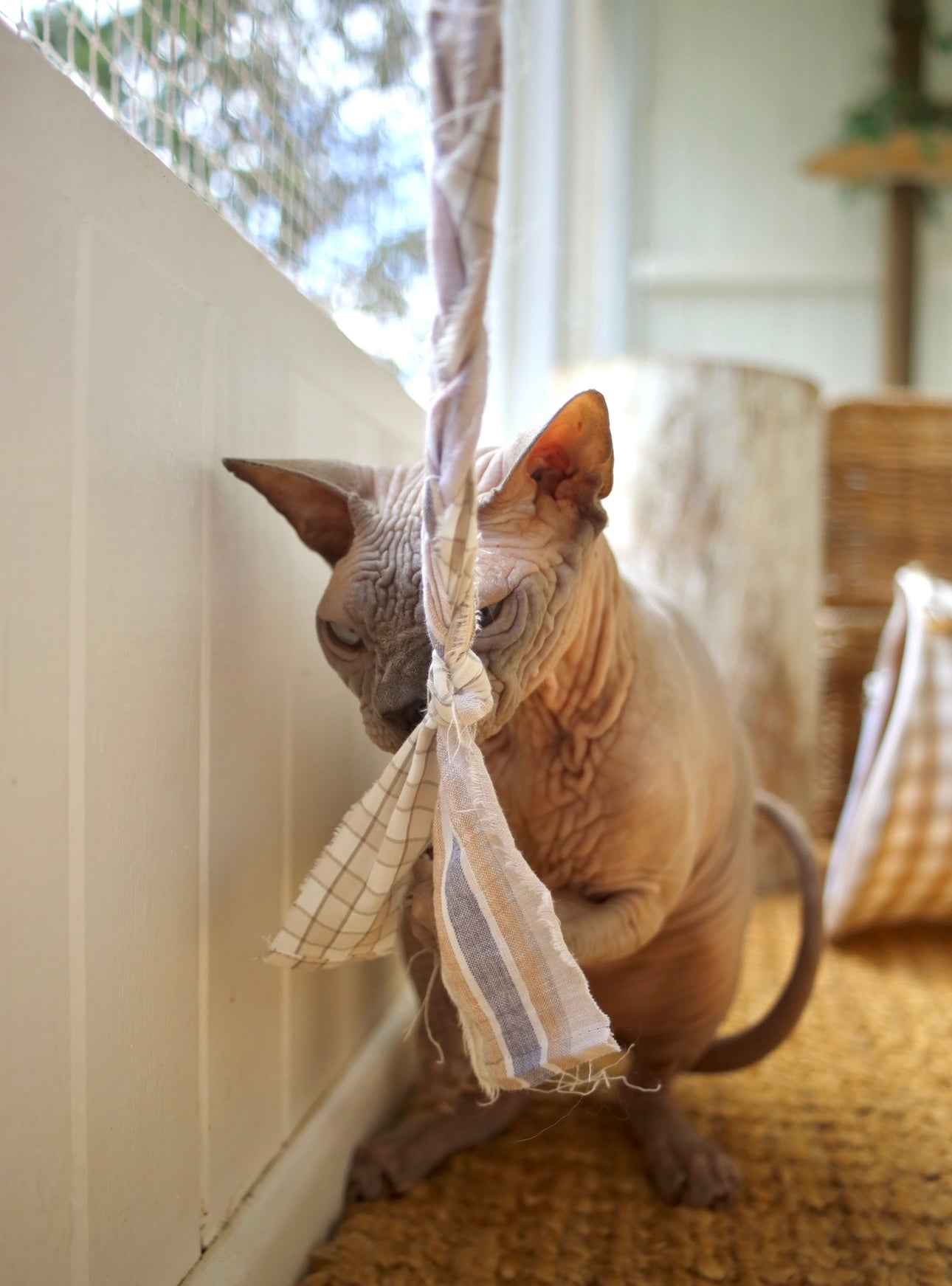 The Langley Handmade Shirty Wand