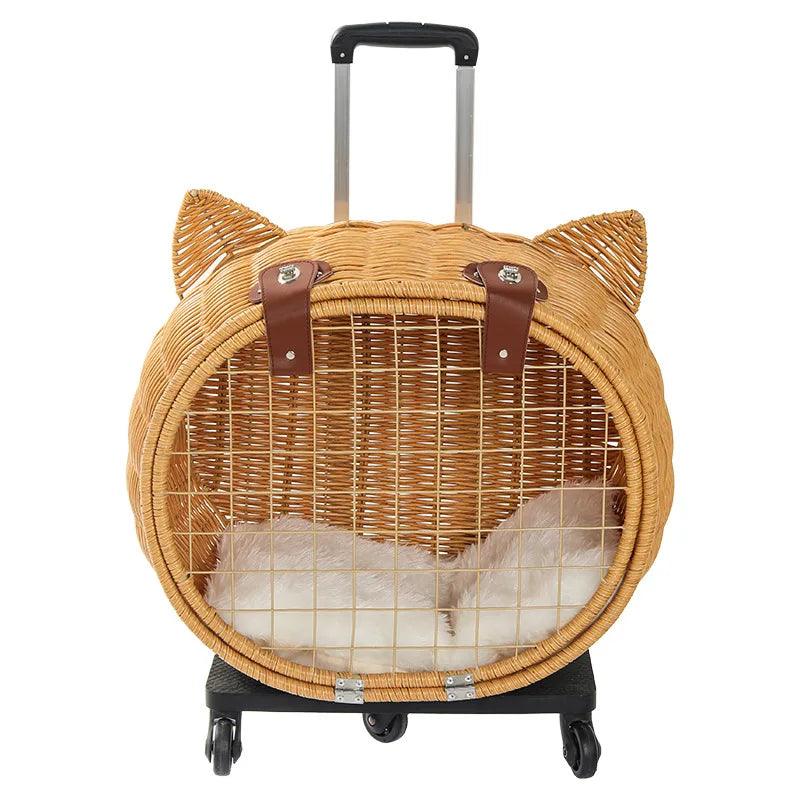 Aliza Rattan Carry